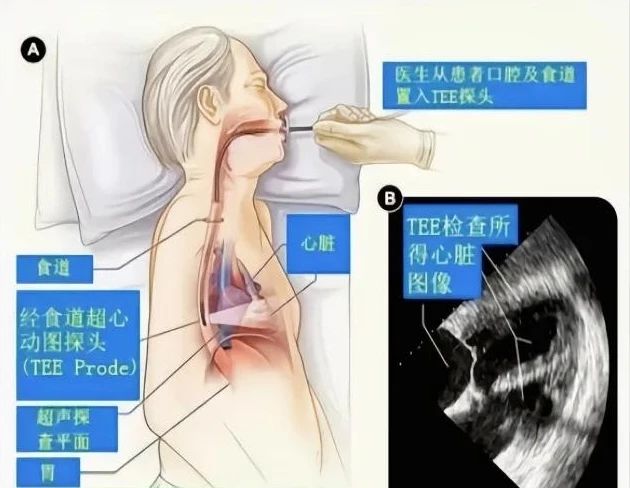 微信圖片_20250331085622
