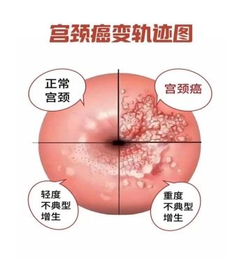 微信圖片_20250408084338